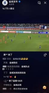 意甲第33轮维罗纳对阵米兰精彩回顾